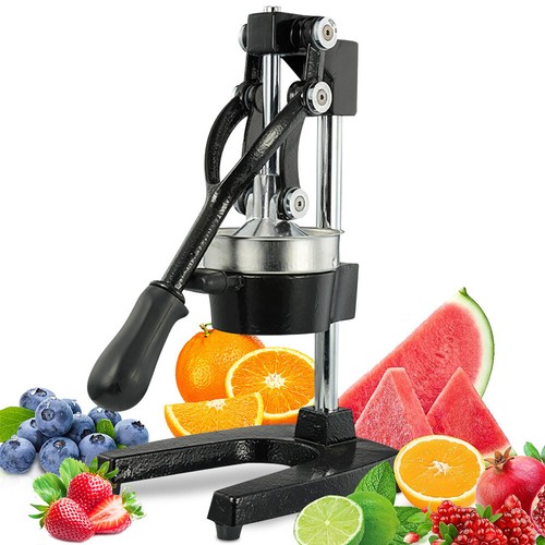 Manual fruit juicer commercial - fruit,